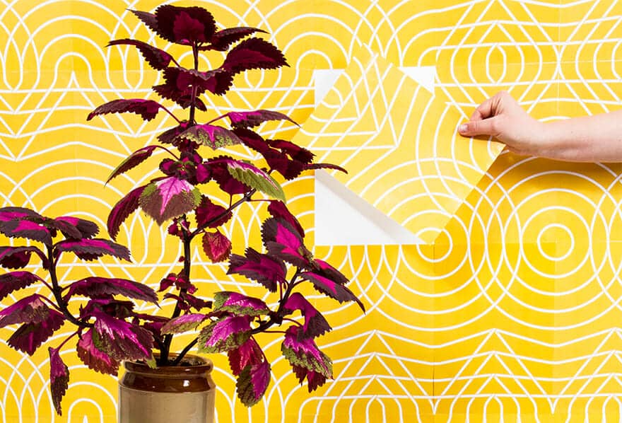 The Pattern Printer Project - Cover