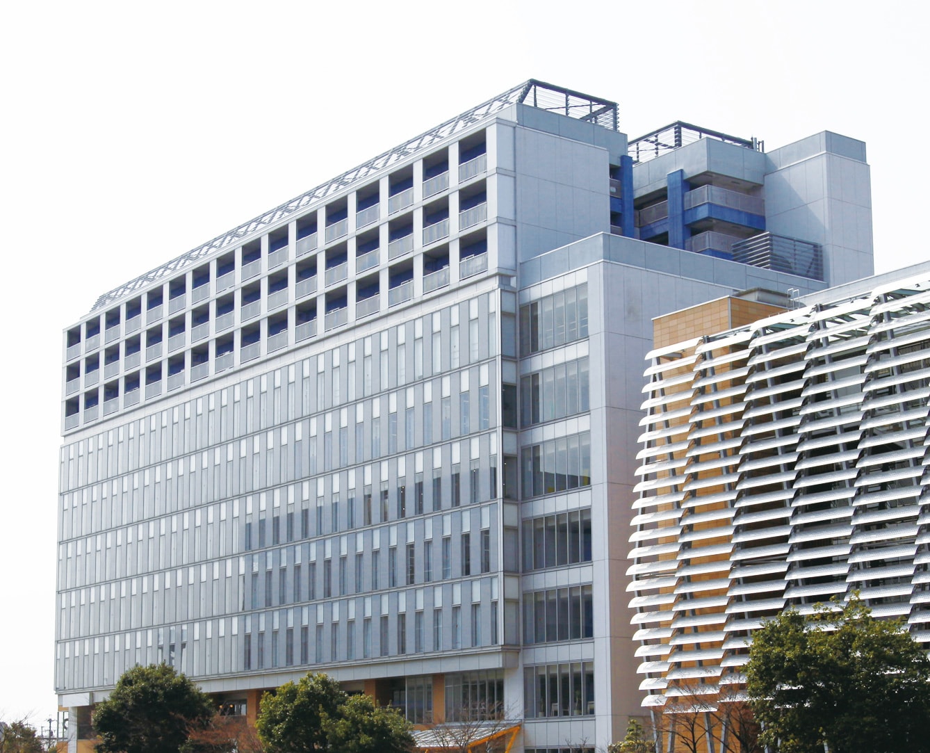 Institute of Advanced Media Arts and Sciences